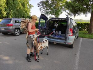 Ziegentrekking im Südburgenland – Tiere, Natur und Bewegung