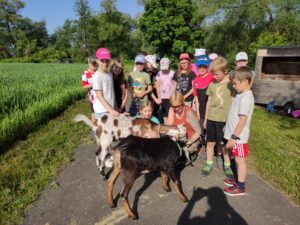 Ziegentrekking für Kindergeburtstage – Tiere hautnah erleben