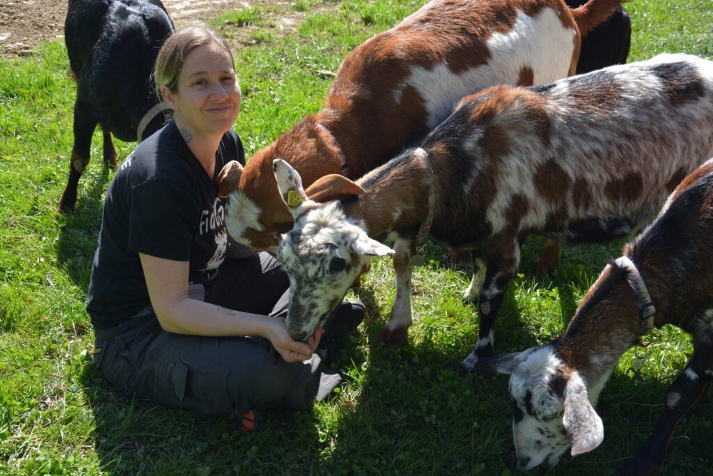 Ziegenwanderung im Südlichen Burgenland